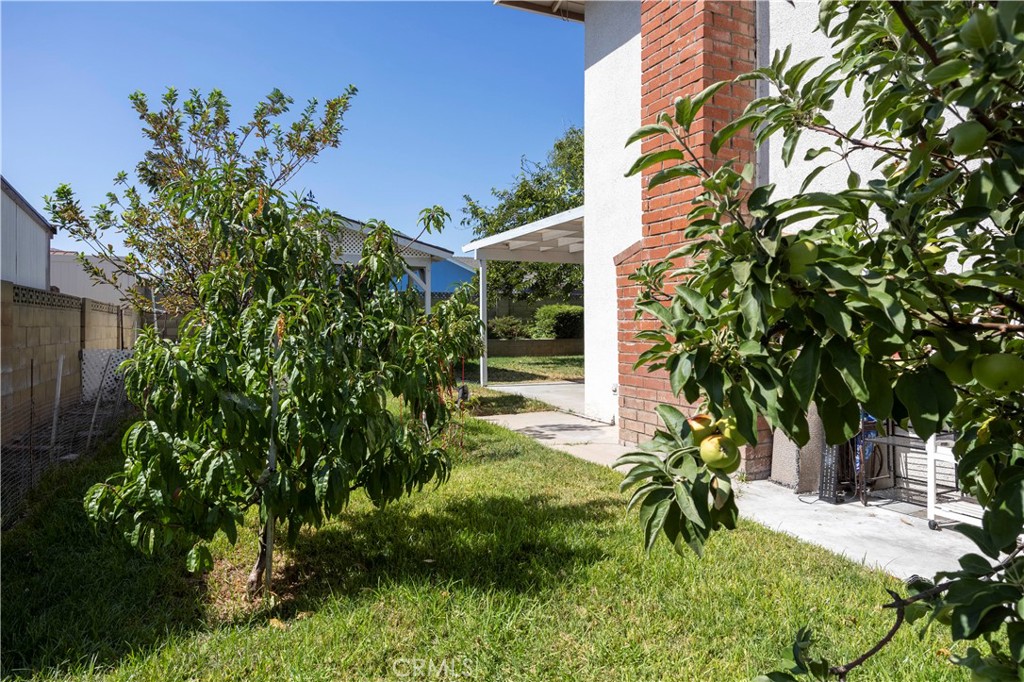 3440 Pickwick Street