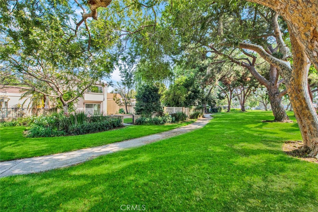 60 Willow Tree Lane