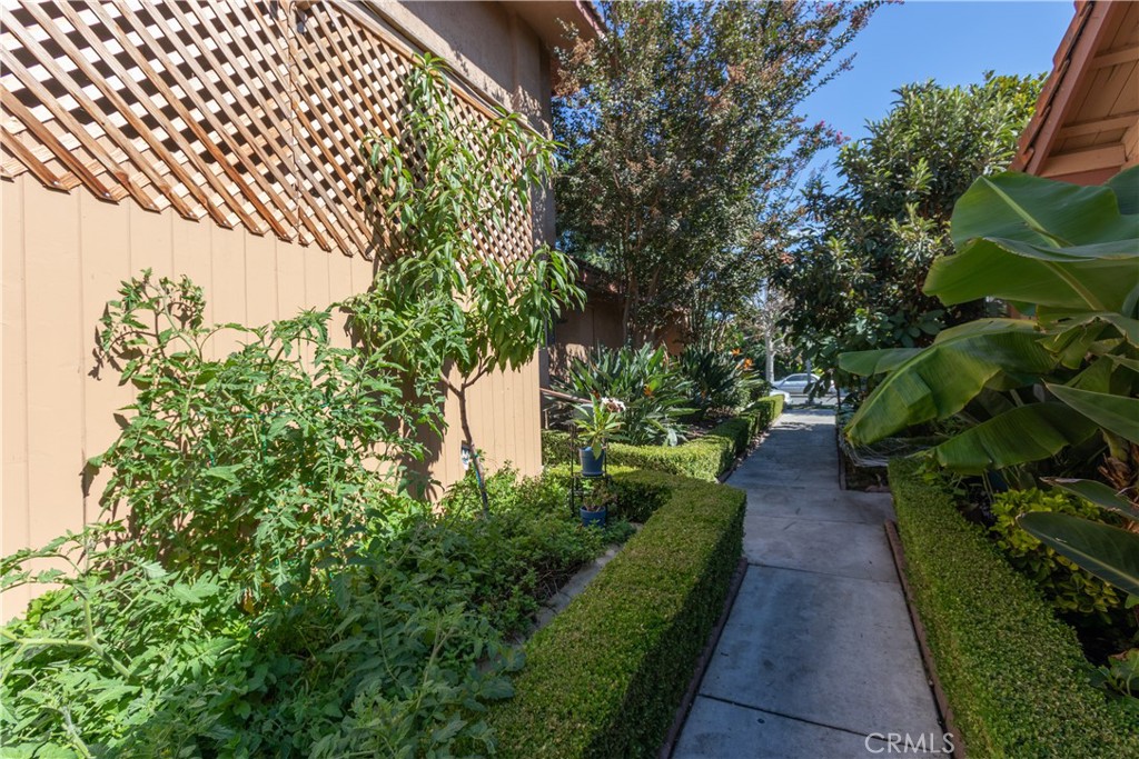 31593 Los Rios Street 77