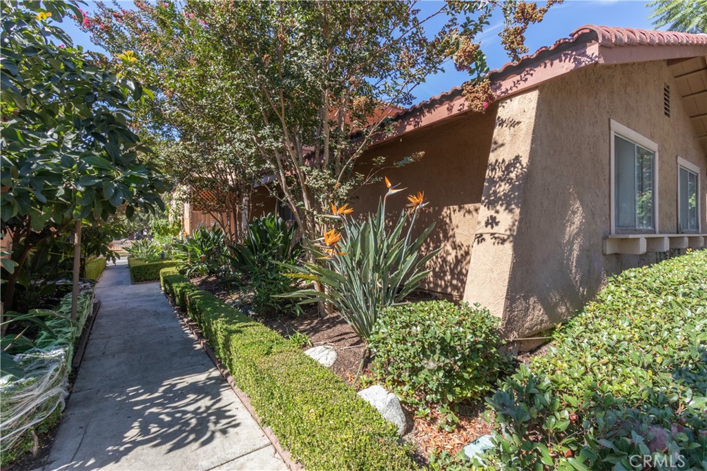 31593 Los Rios Street 77