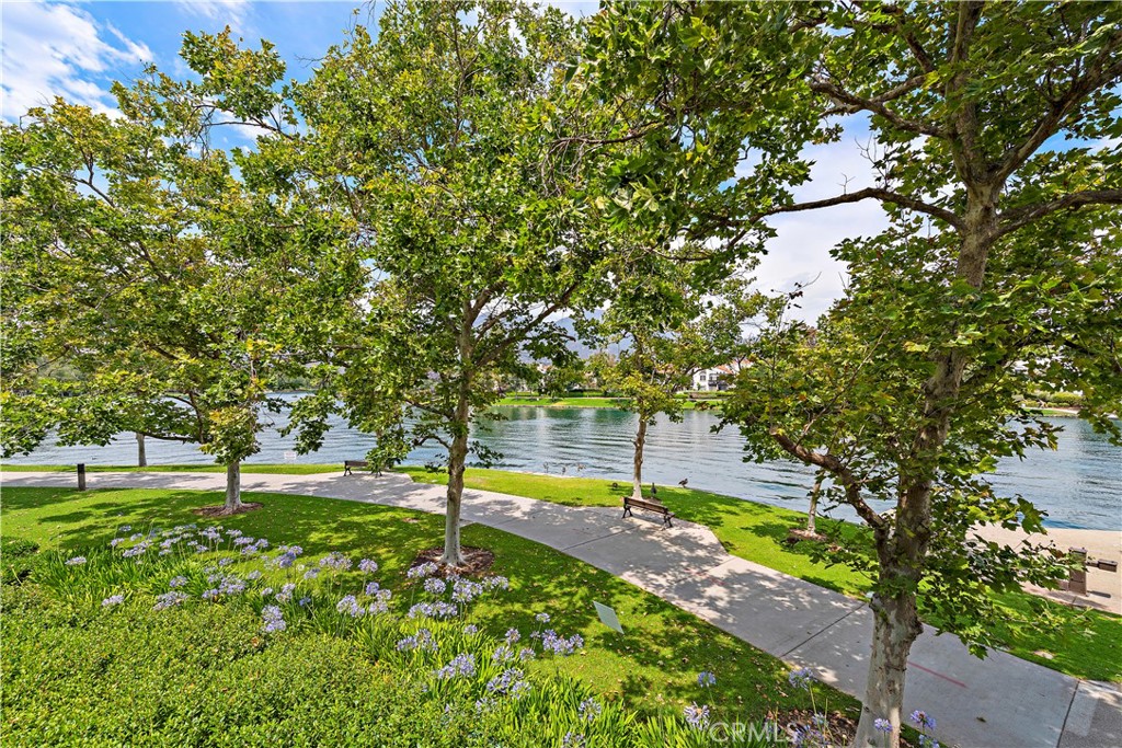 115 Montana Del Lago Drive