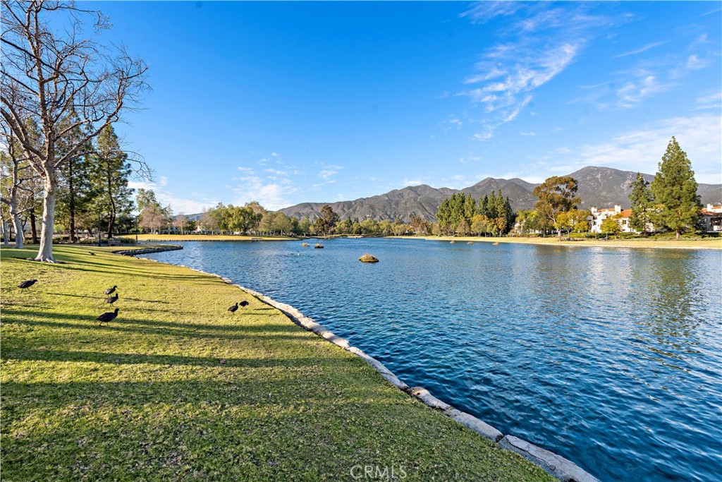 115 Montana Del Lago Drive