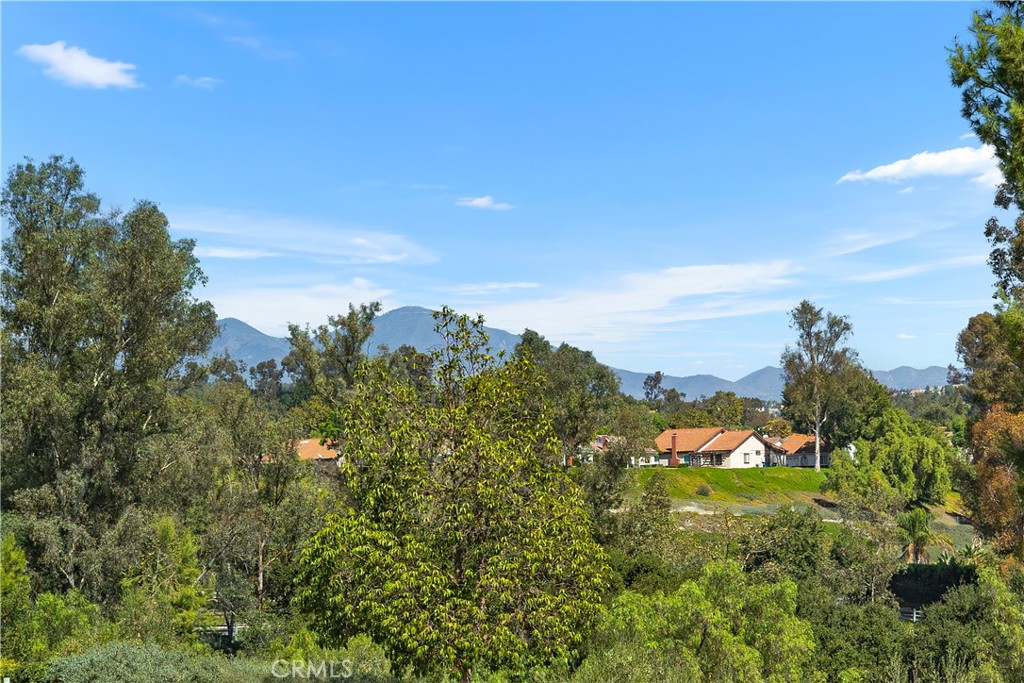 24631 Via San Fernando