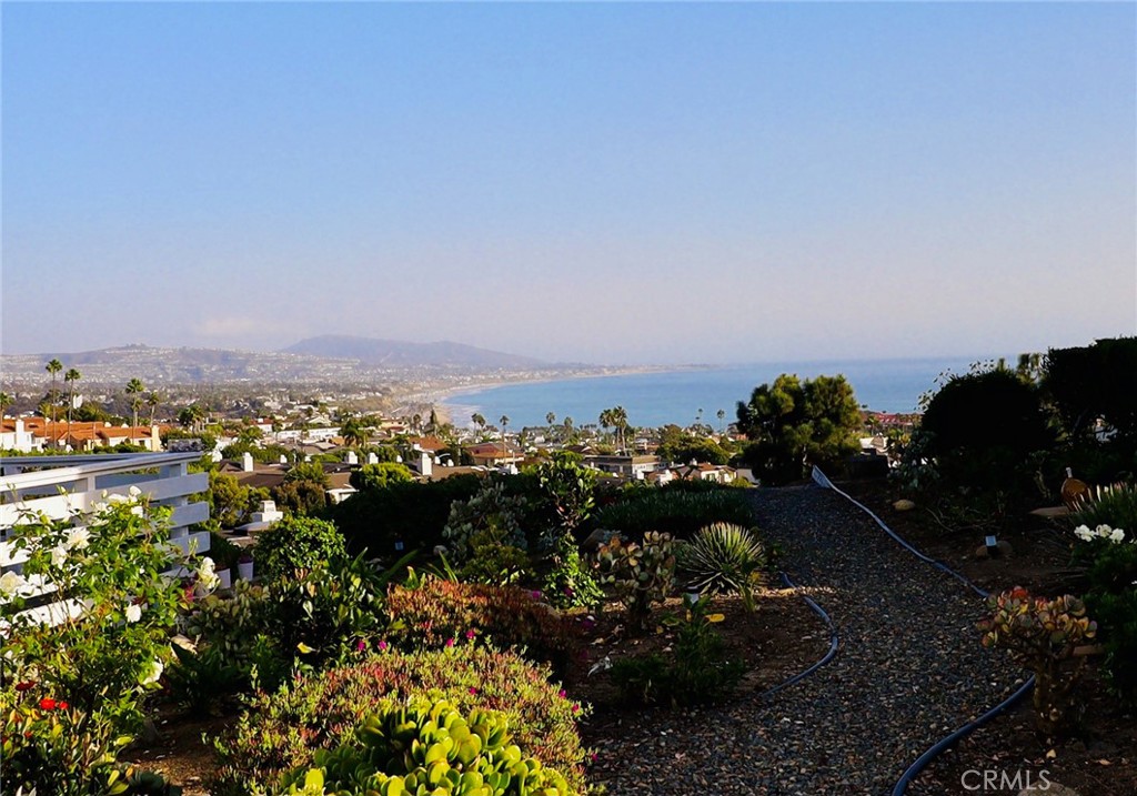 33611 Dana Vista Drive 32