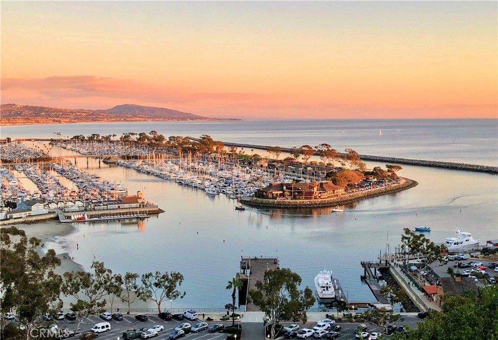 33611 Dana Vista Drive 32