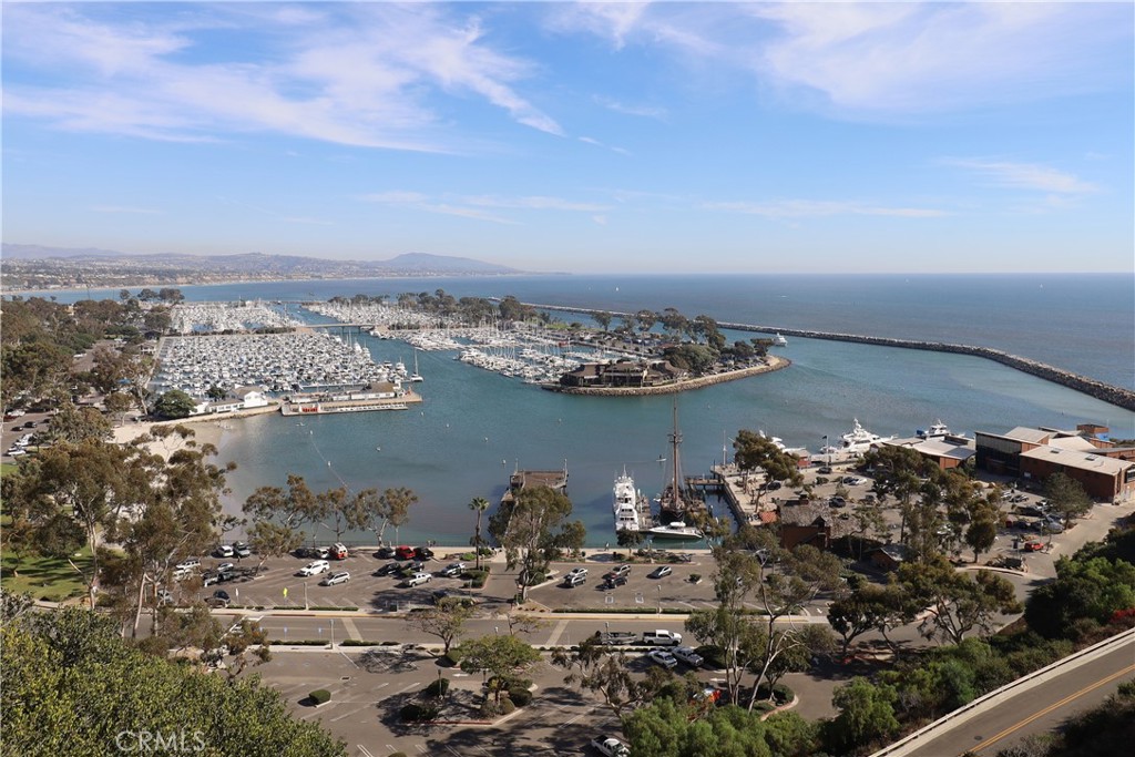 33611 Dana Vista Drive 32