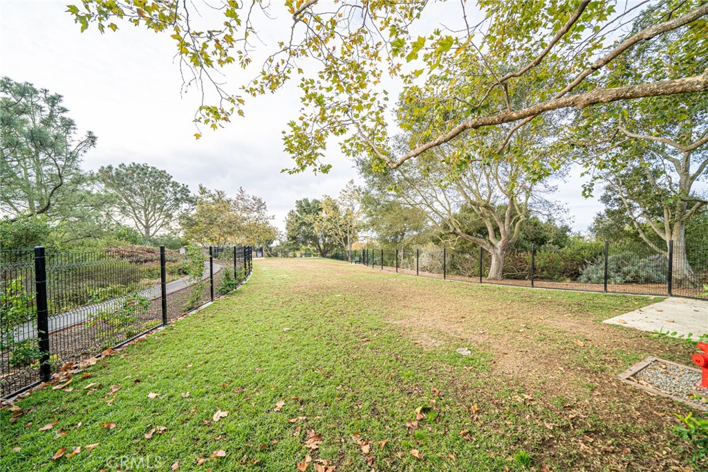 875 Santa Ana Street