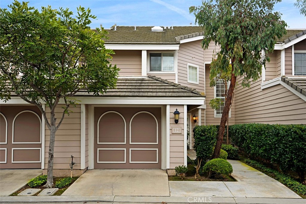 12 Pickney Close 9