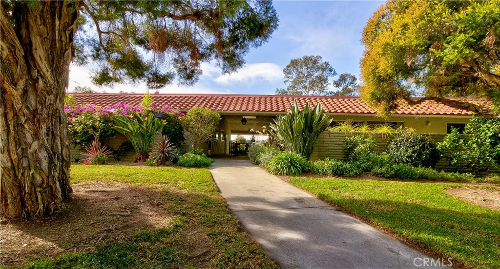 3253 San Amadeo P
