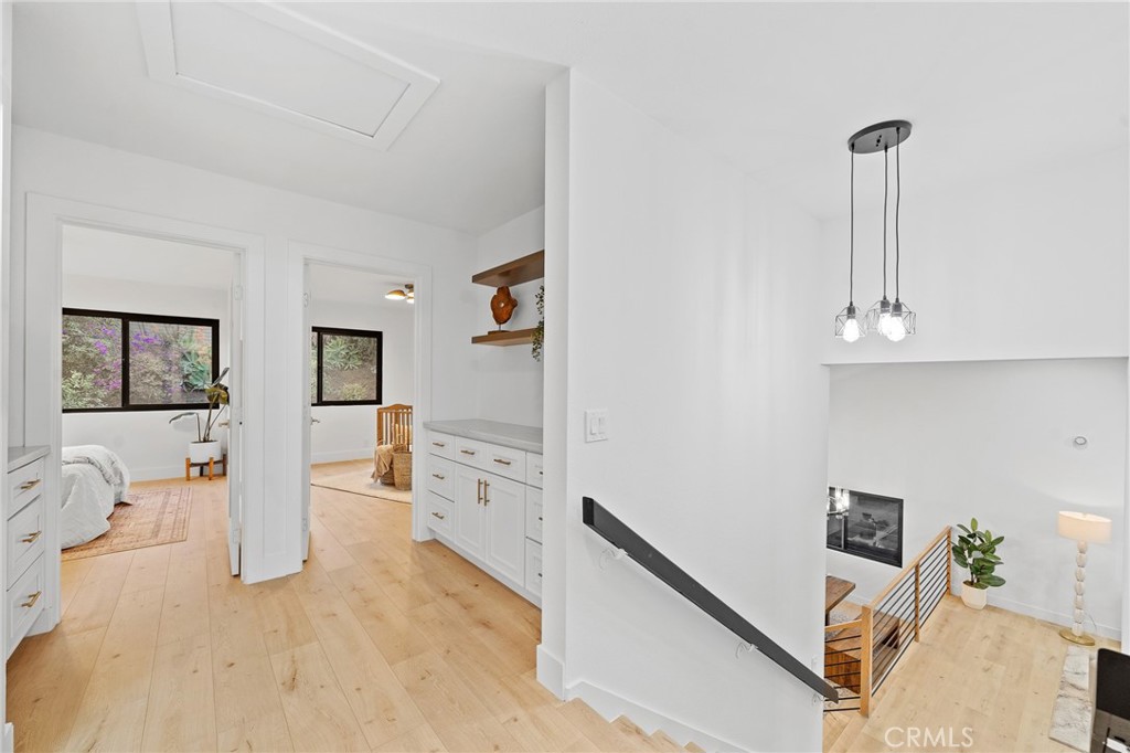 23641 Algiers Street