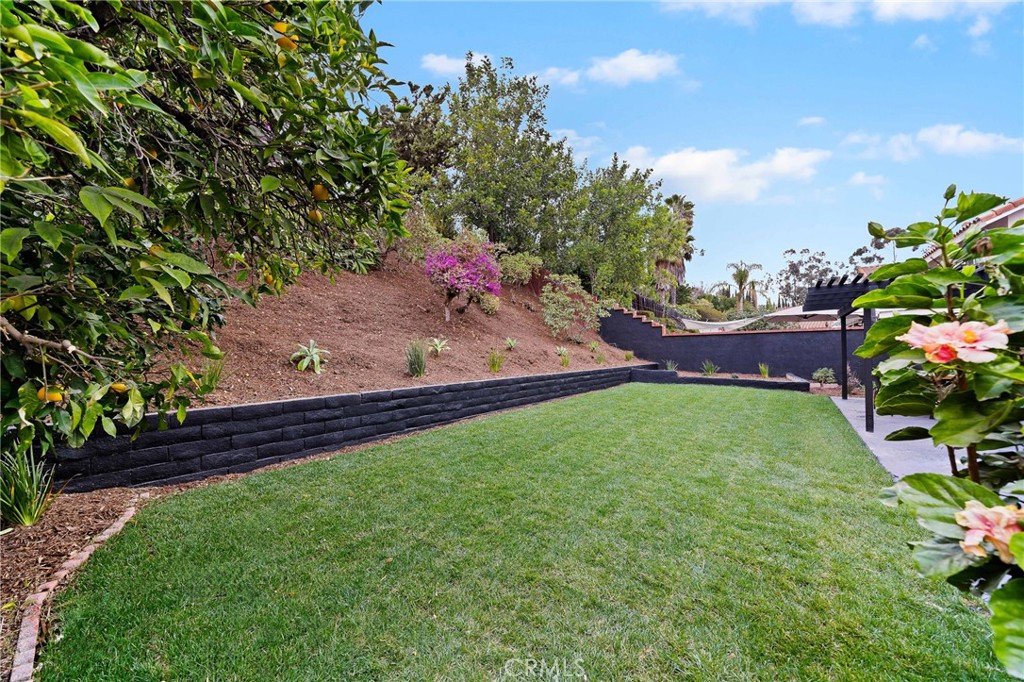 23641 Algiers Street