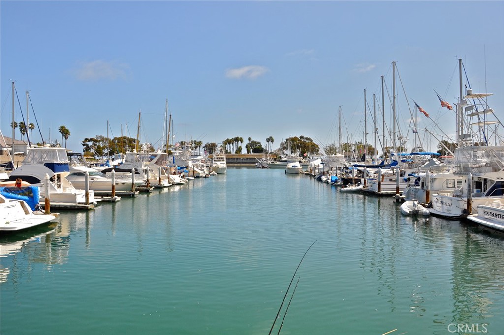 34071 Amber Lantern Street