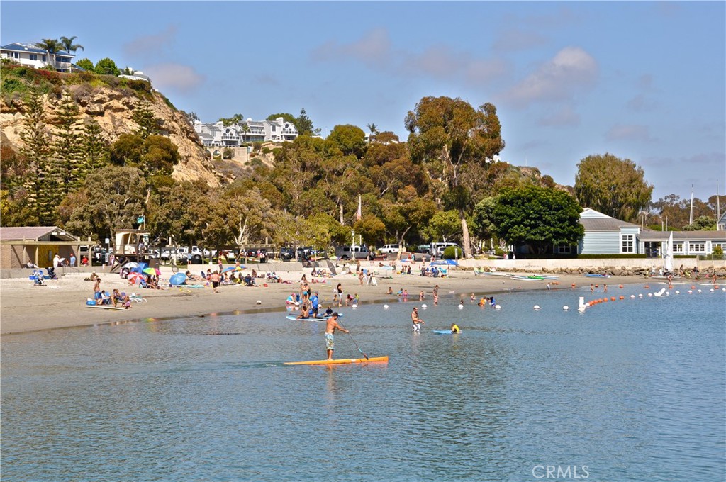 34071 Amber Lantern Street