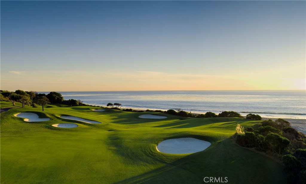 34071 Amber Lantern Street