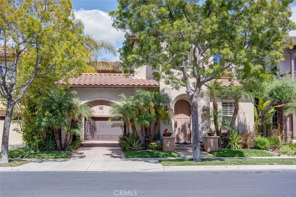 43 Carpenteria