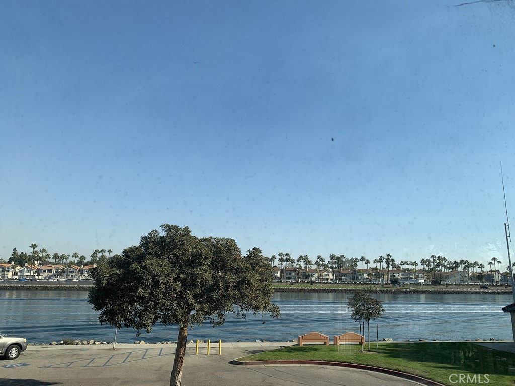 337 La Verne Avenue