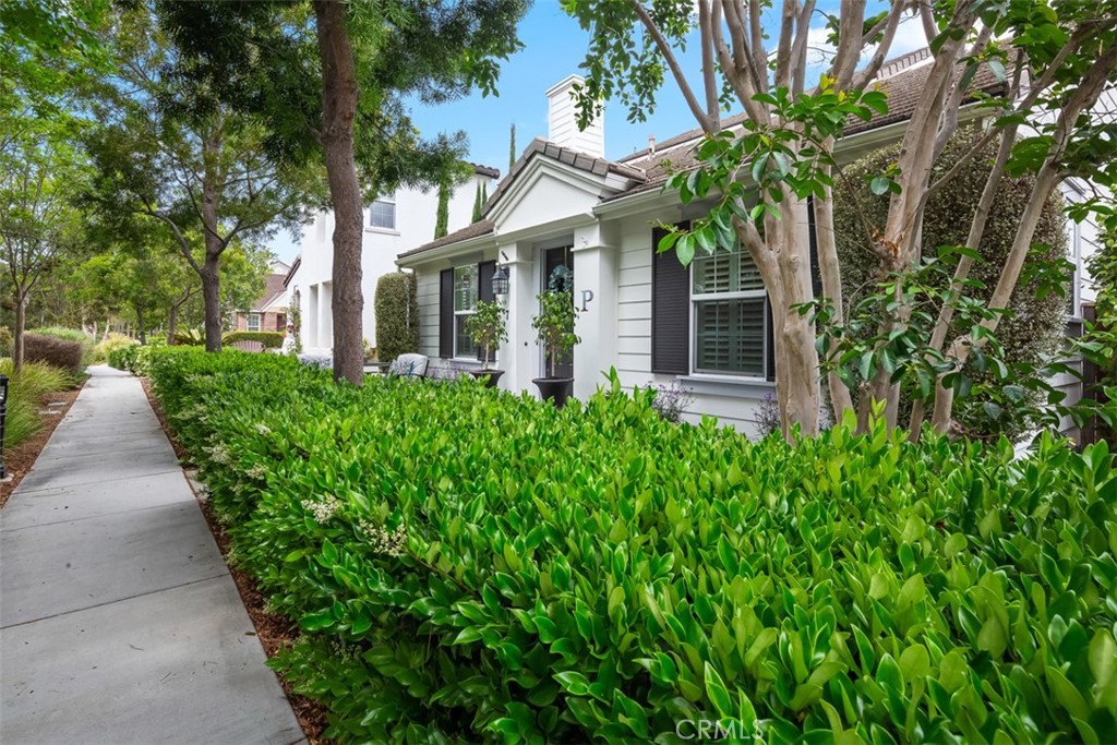 7 Twin Flower Street