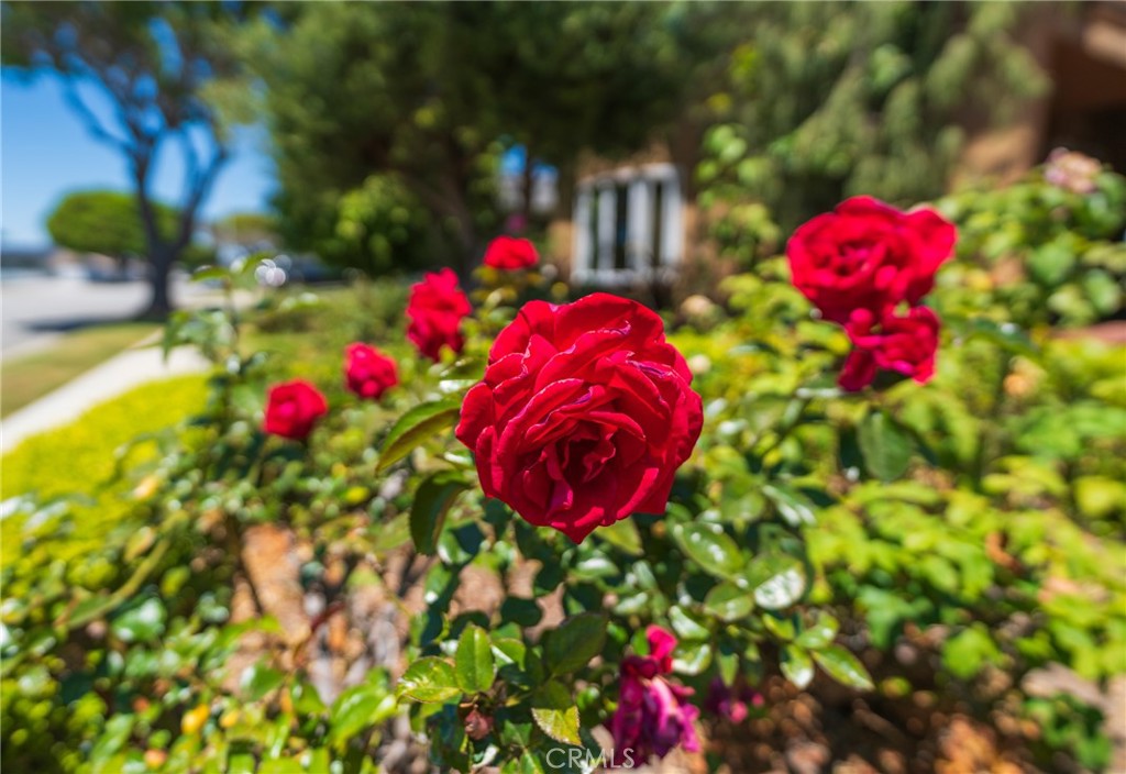 19752 Westwinds Lane