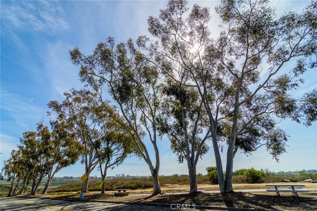 2516 University Drive