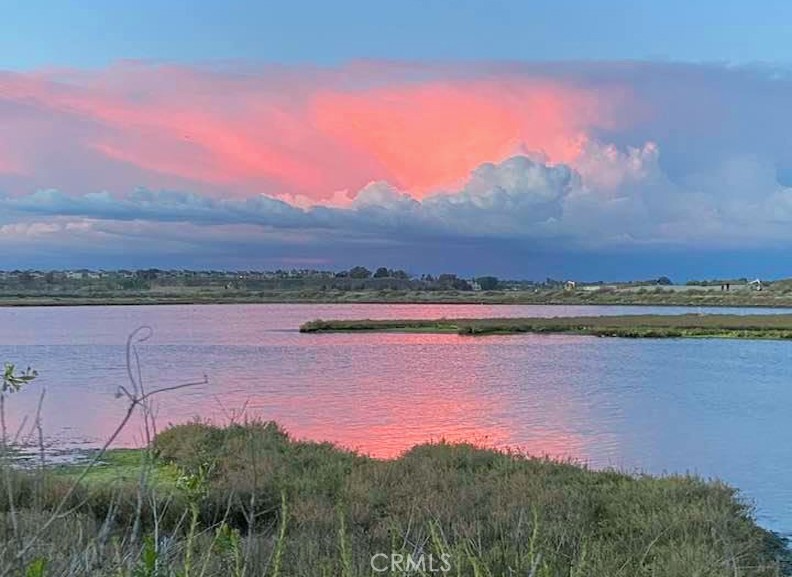 17361 Wild Rose Lane