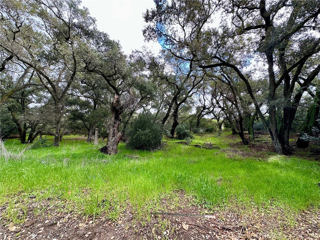 19334 Live Oak Canyon
