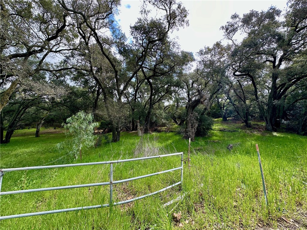 19334 Live Oak Canyon
