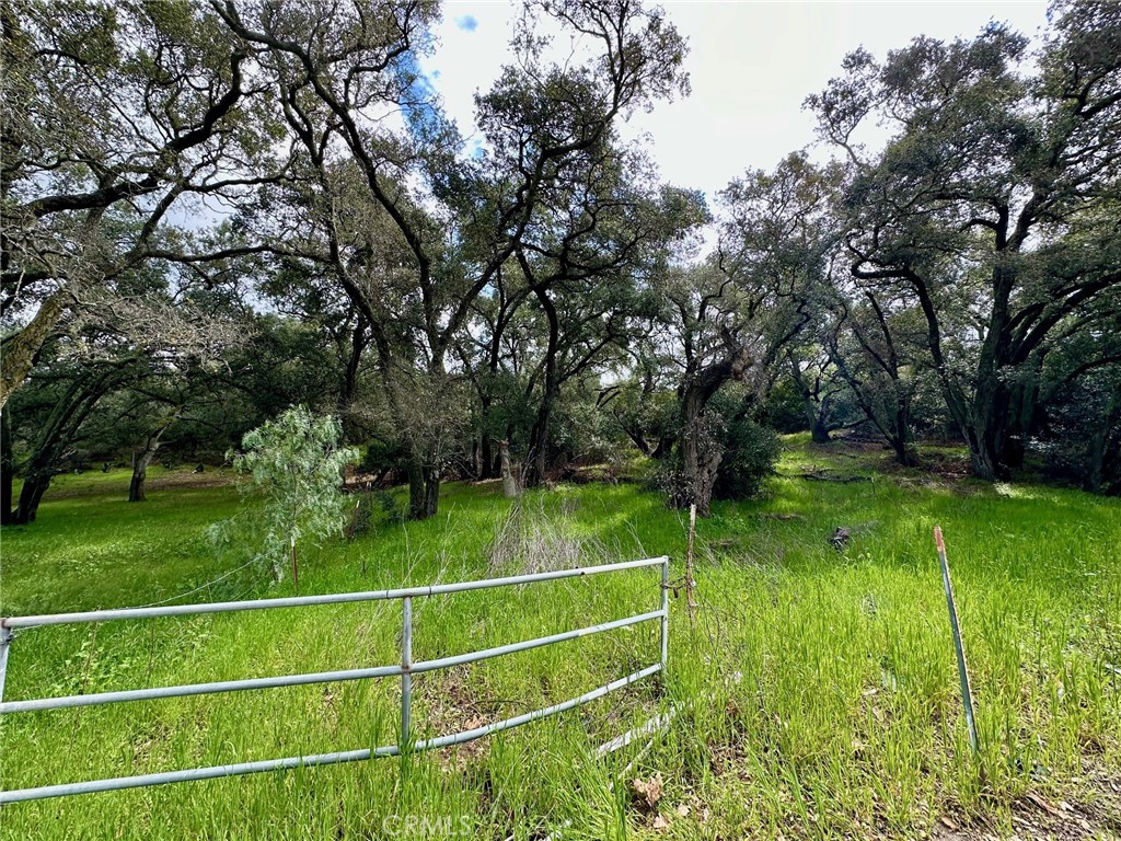 19334 Live Oak Canyon