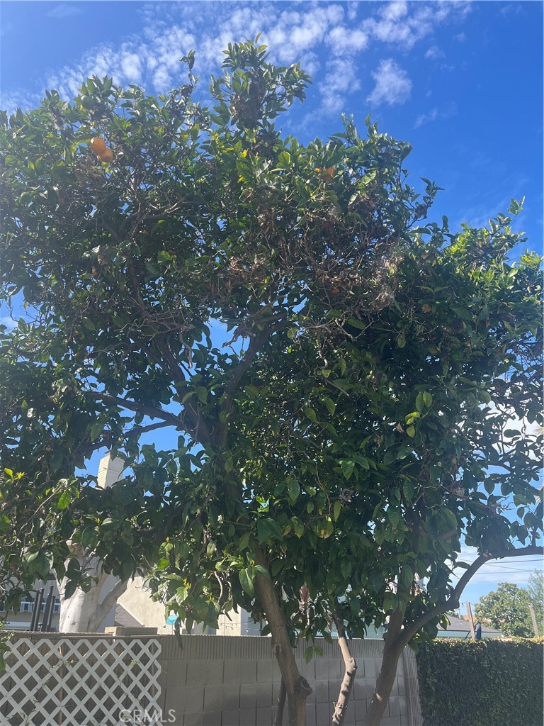 20021 Colgate Circle