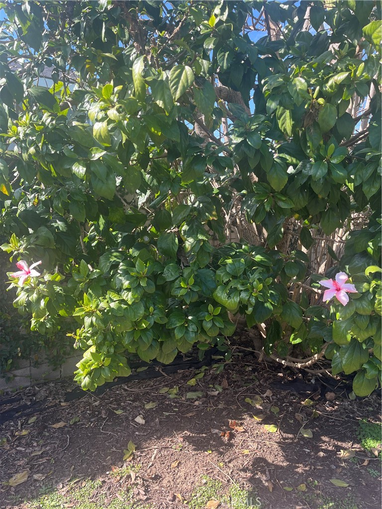 20021 Colgate Circle