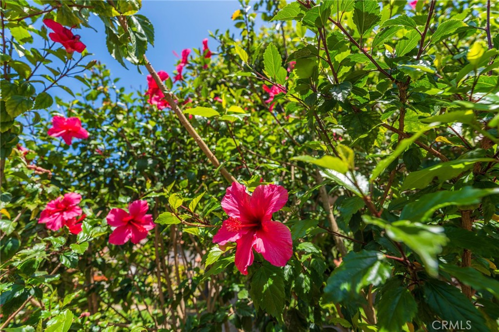 20916 Coastview Lane