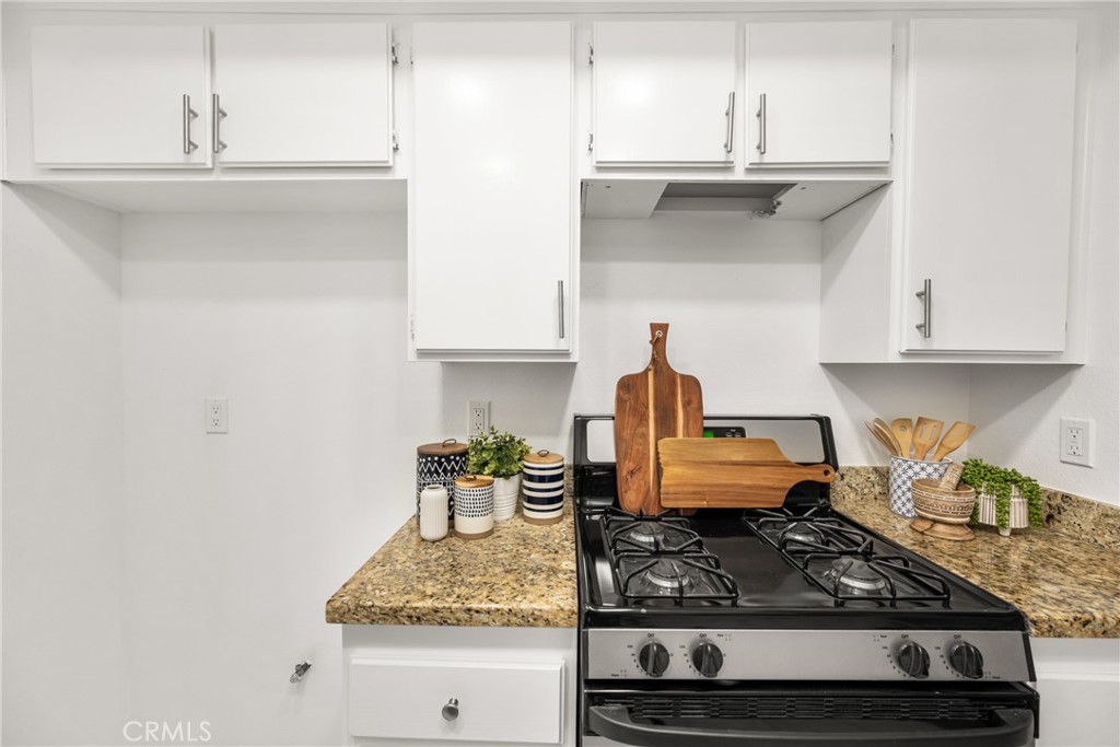 17702 Sergio Circle 101