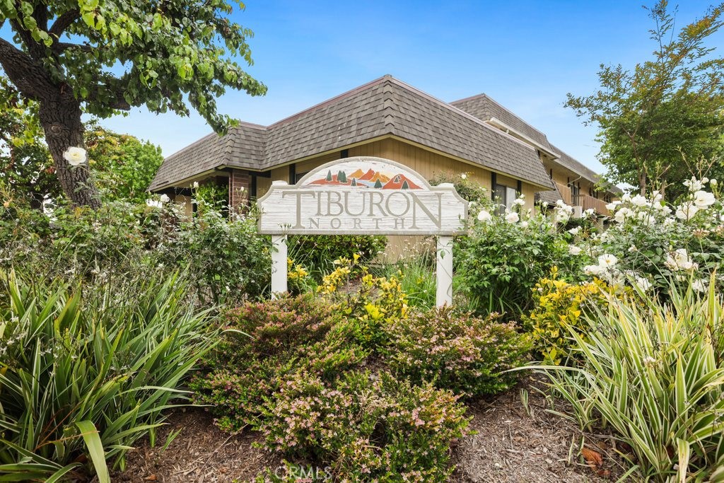 16032 Mount Carmel Court