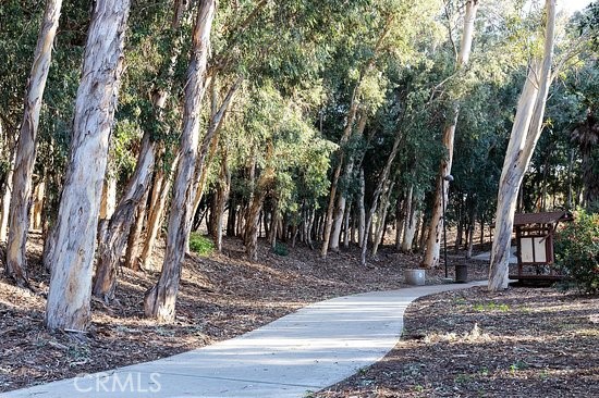 22602 Manalastas Drive