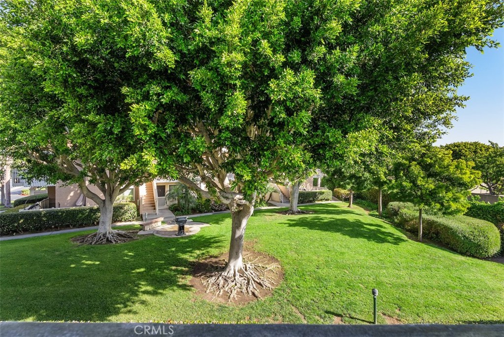 19132 Shoreline Lane 6