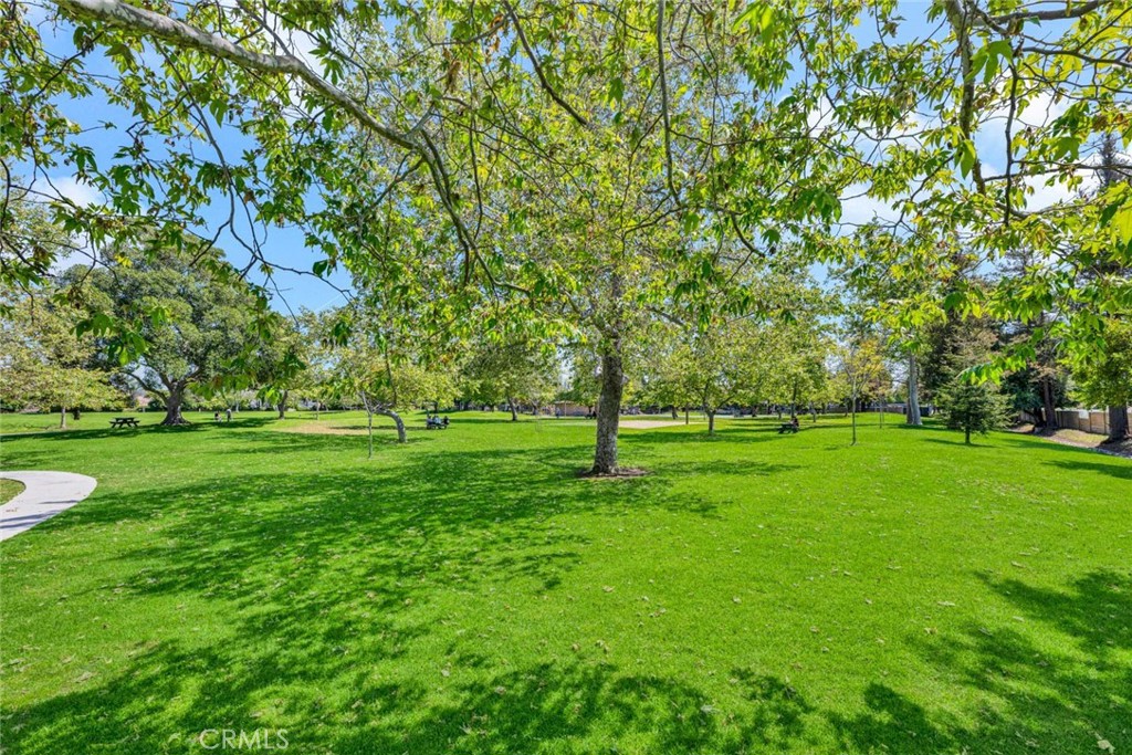 1033 Damascus Circle