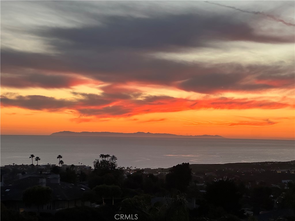 703 Avenida Presidio