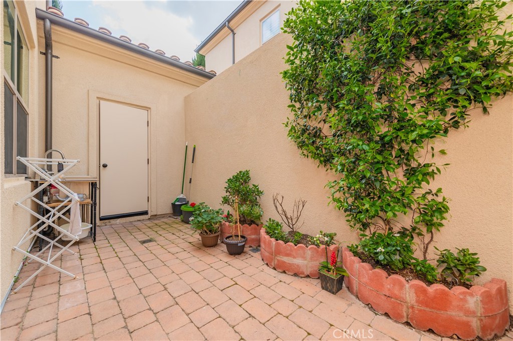 138 Briar Rose