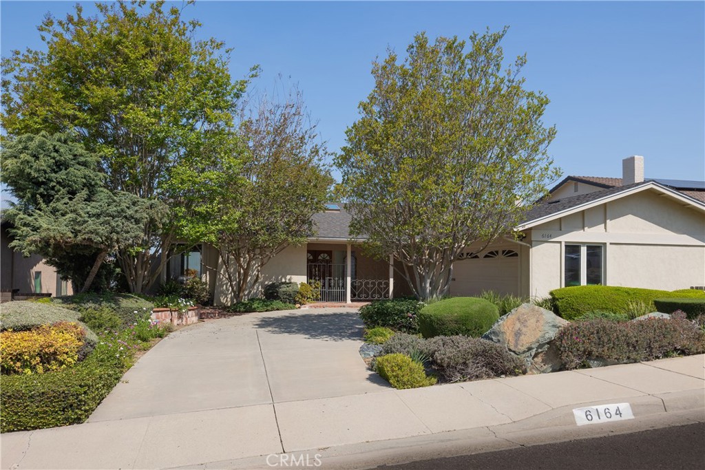 6164 Del Paso Avenue