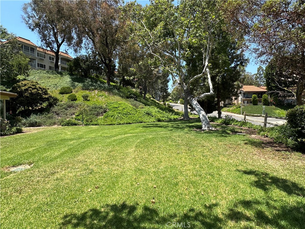 3525 Bahia Blanca W B