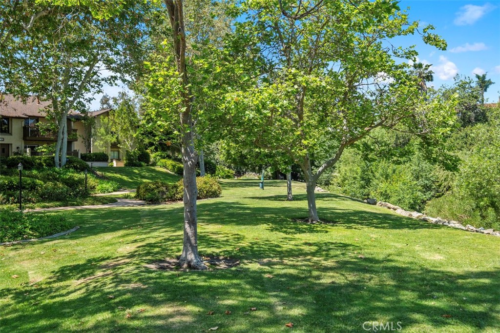 25781 Marguerite F202