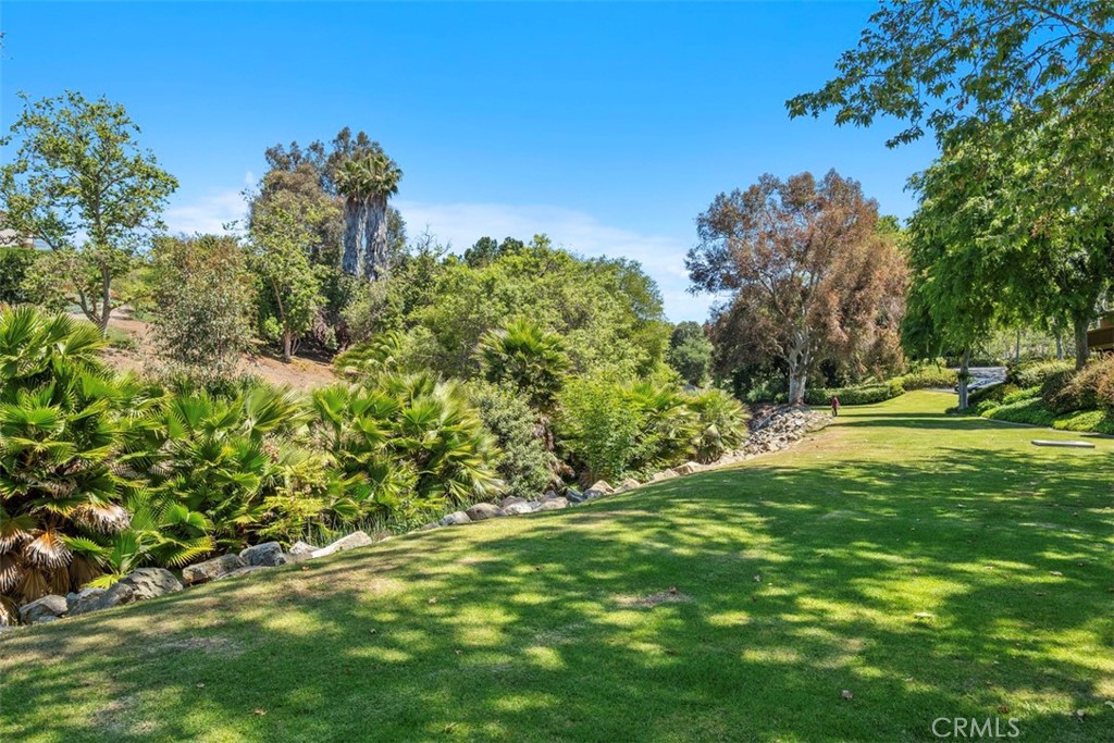 25781 Marguerite F202