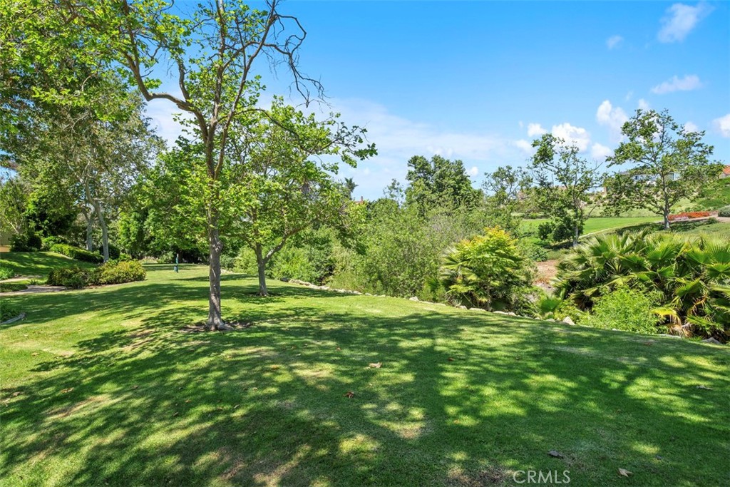 25781 Marguerite F202