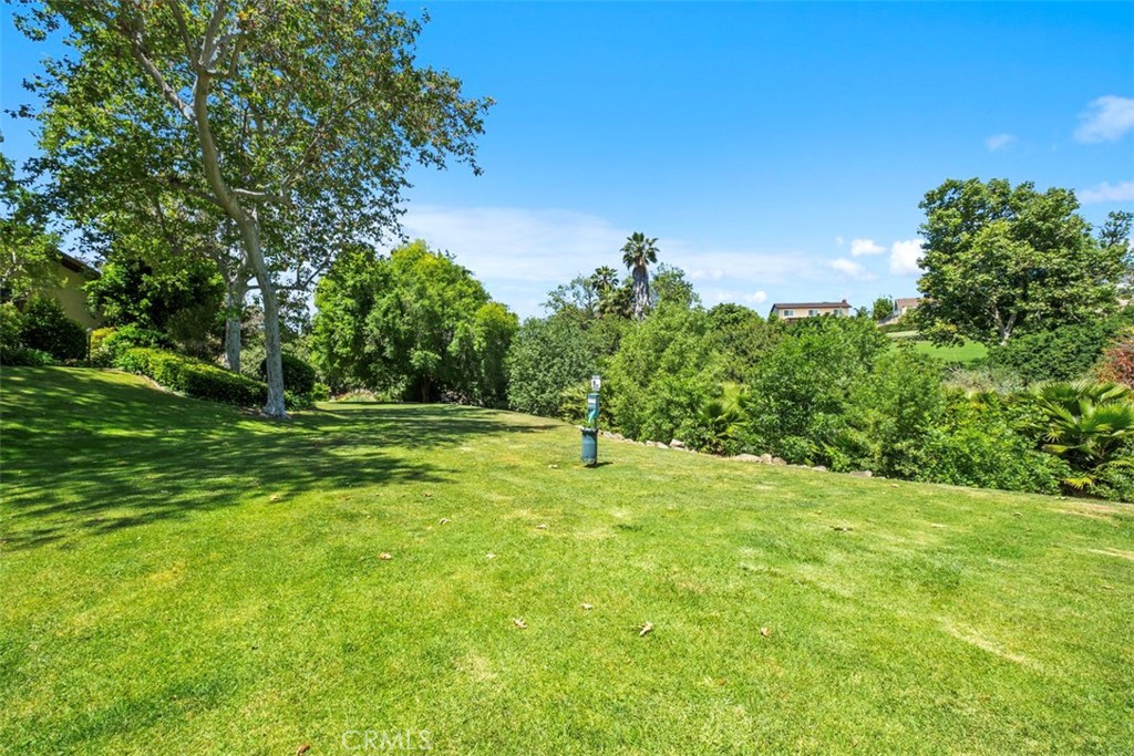 25781 Marguerite F202