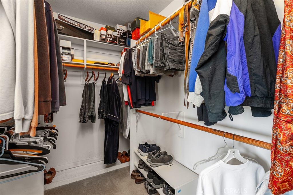 29206 Alfieri Street