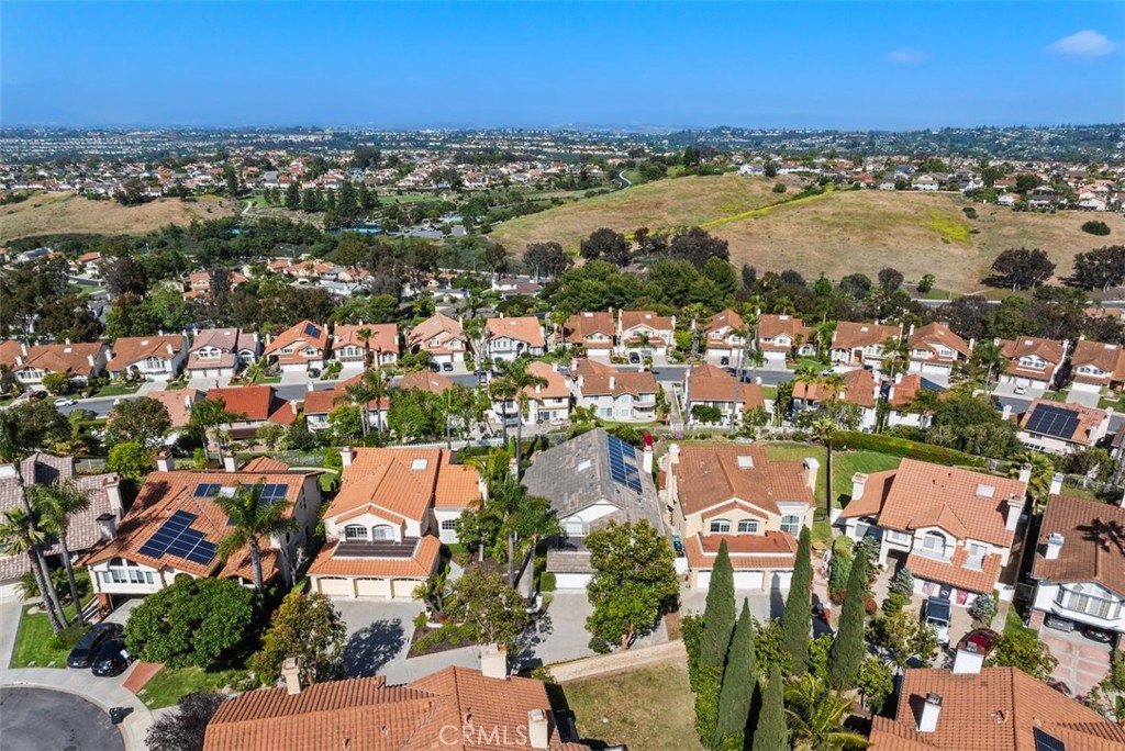 29206 Alfieri Street