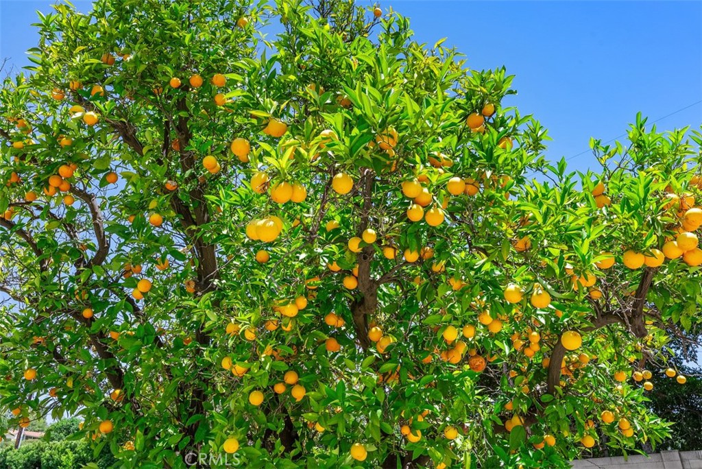 9612 Christine Circle