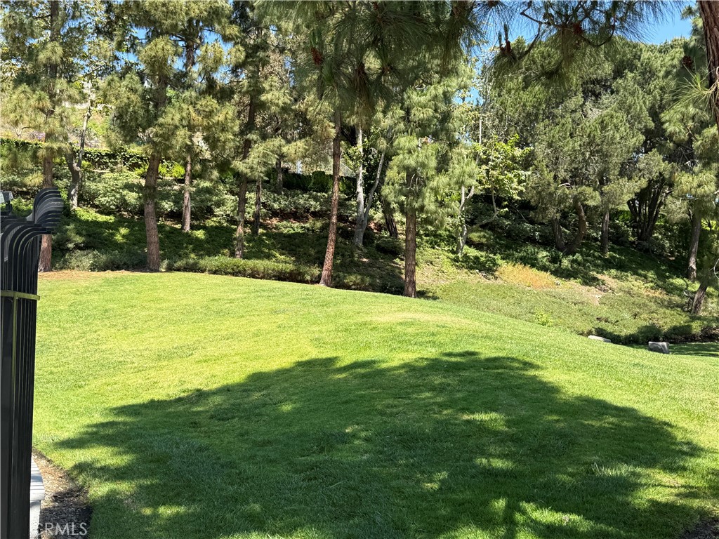 33102 Buccaneer Court