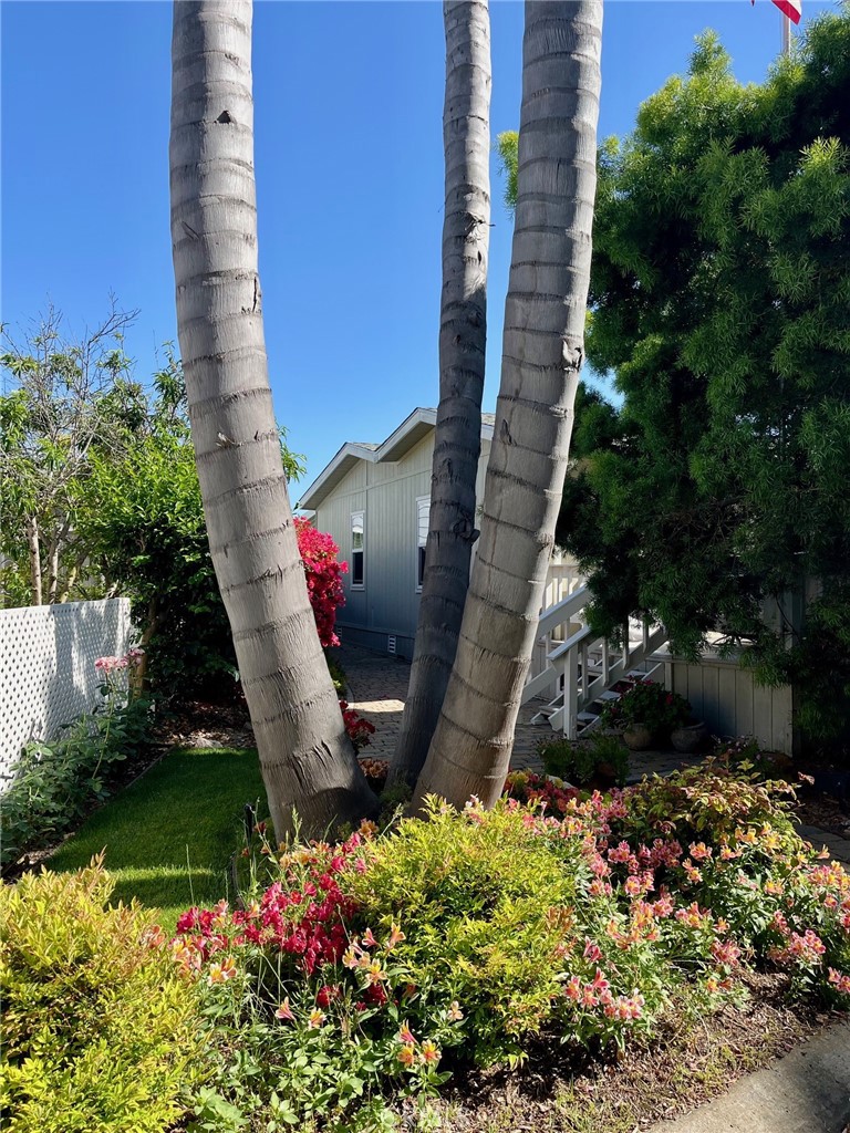 3569 Don Carlos Drive