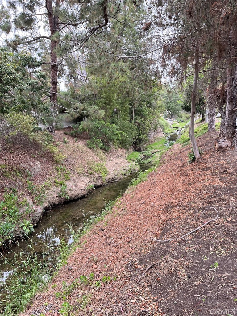 3569 Don Carlos Drive