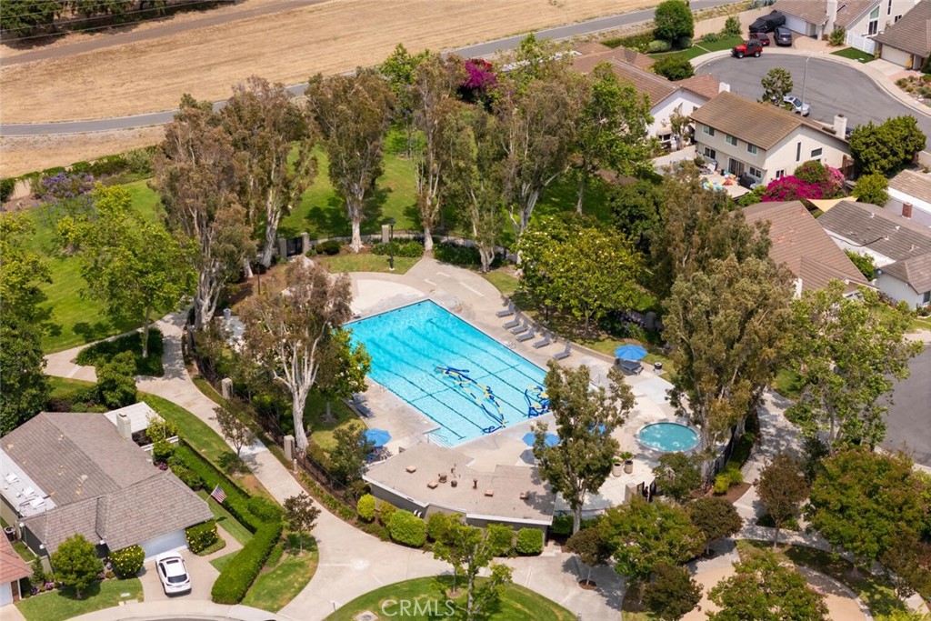 3 Rock Springs